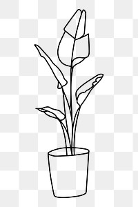 Houseplant png line art illustration, transparent background