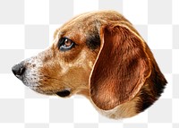 Beagle png collage element, transparent background