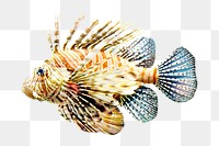 PNG  lionfish  animal, collage element, transparent background