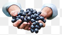 PNG Man holding grapes , collage element, transparent background