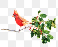 PNG cute bird, animal, collage element, transparent background