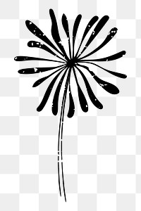Png abstract flower  doodle illustration, transparent background