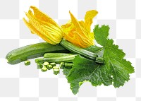 Zucchini flowers png, transparent background