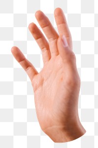 PNG Hand raising up in the air  transparent background