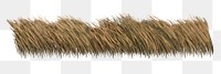 PNG grass field reed, transparent background