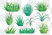 PNG grass set, nature transparent background