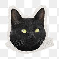 PNG black cat sticker with white border, transparent background