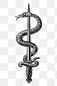 Caduceus medicine png symbol, snake & dagger, transparent background