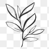 Leaf sticker, line art design png collage element, transparent background