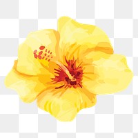 Yellow hibiscus png watercolor flower, transparent background