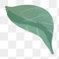 Green leaf png watercolor, transparent background