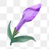 Purple phlox png watercolor flower, transparent background