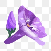 PNG watercolor purple phlox flower, transparent background