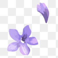 PNG watercolor purple flower, transparent background