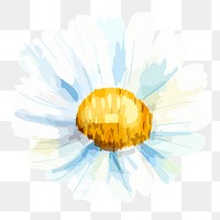 Watercolor chamomile png flower, transparent background