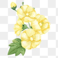 PNG watercolor yellow hollyhocks flower, transparent background