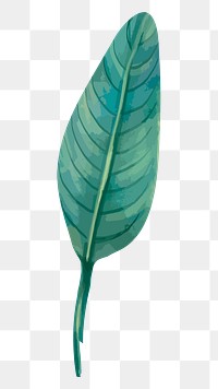 PNG bird of paradise leaf, transparent background
