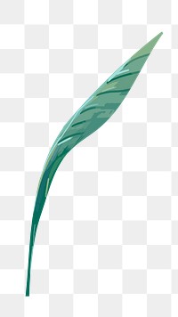 Green leaf png watercolor plant, transparent background