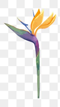 PNG bird of paradise flower, transparent background