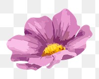 Purple cosmos png watercolor flower, transparent background