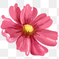 Pink cosmos png watercolor flower, transparent background