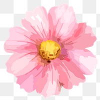 Pink cosmos png watercolor flower, transparent background