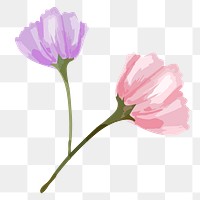 Watercolor flower png purple & pink poppies, transparent background