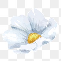 PNG watercolor chamomile flower, transparent background