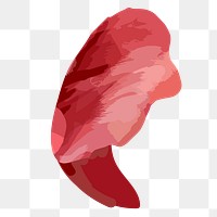 PNG watercolor red petal, transparent background