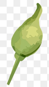 PNG watercolor flower bud, transparent background