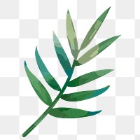 Palm leaf png watercolor plant, transparent background