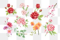 PNG watercolor flower set, transparent background