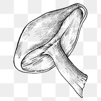 Png black & white shiitake mushroom, transparent background