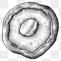 Png black & white shiitake mushroom, transparent background