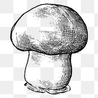 Png black & white cremini mushroom, transparent background