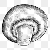 Png black & white cremini mushroom, transparent background