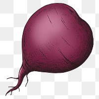 Png Beetroot collage element, transparent background