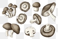 Png mushroom illustration, transparent background set