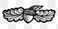 PNG Acorn oak nut vintage  illustration, transparent background. Free public domain CC0 image.