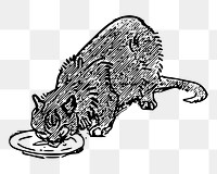 PNG Cat eating vintage  illustration, transparent background. Free public domain CC0 image.