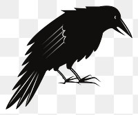 PNG Crow, black bird sticker, transparent background. Free public domain CC0 image.