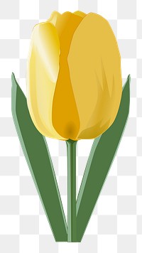 PNG Yellow tulip flower illustration, transparent background. Free public domain CC0 image.