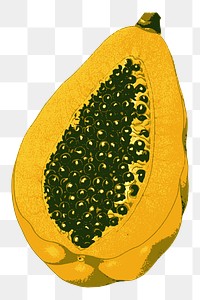 PNG Half papaya fruit  illustration, transparent background. Free public domain CC0 image.