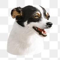 Chihuahua png dog, collage element, transparent background