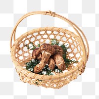 Mushroom basket png collage element, transparent background