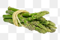 PNG asparagus collage element, transparent background