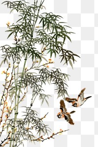 PNG Bird, vintage animal painting by G.A. Audsley-Japanese illustration, transparent background. Remixed by rawpixel.