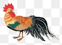 PNG Rooster chicken, vintage animal by G.A. Audsley-Japanese illustration, transparent background. Remixed by rawpixel.