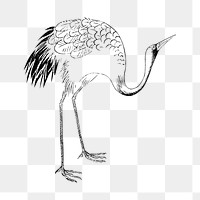 PNG Japanese crane bird, vintage animal by Ogata Korin from the Korin Shinsen Hiaku-Dzu-Japanese illustration, transparent background. Remixed by rawpixel.