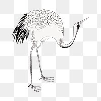 PNG Japanese crane bird, vintage animal by Ogata Korin from the Korin Shinsen Hiaku-Dzu-Japanese illustration, transparent background. Remixed by rawpixel.